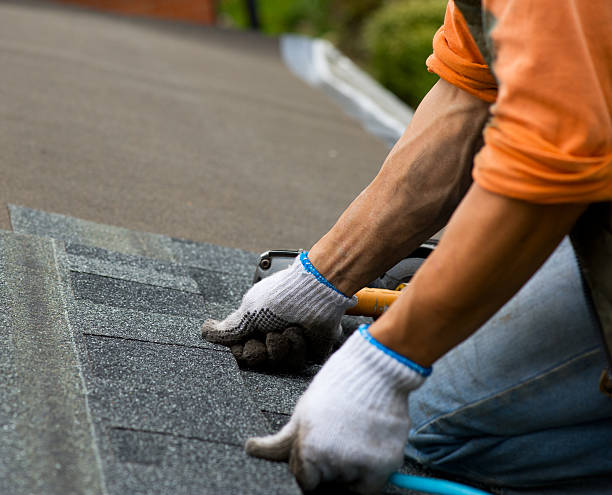 Best Residential Roofing Contractor  in Assumption, IL