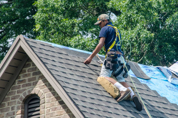 Trusted Assumption, IL Roofing Contractor Experts